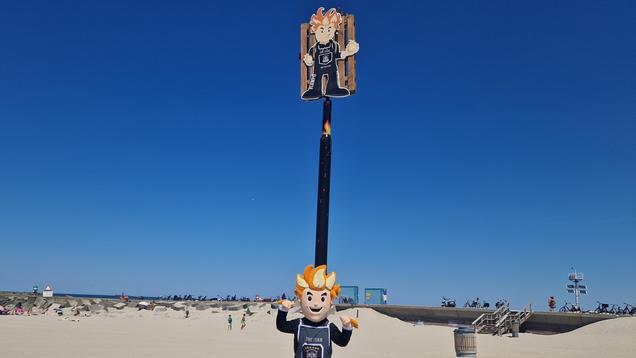 Vlampie op Zuiderstrand